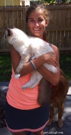 Safe & Gentle Ways to Hold Your New Kitten