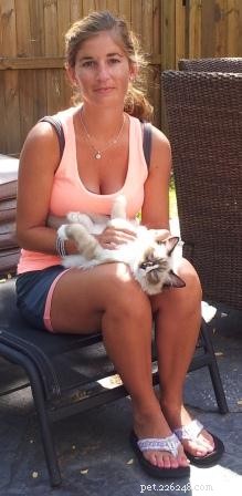 Safe & Gentle Ways to Hold Your New Kitten