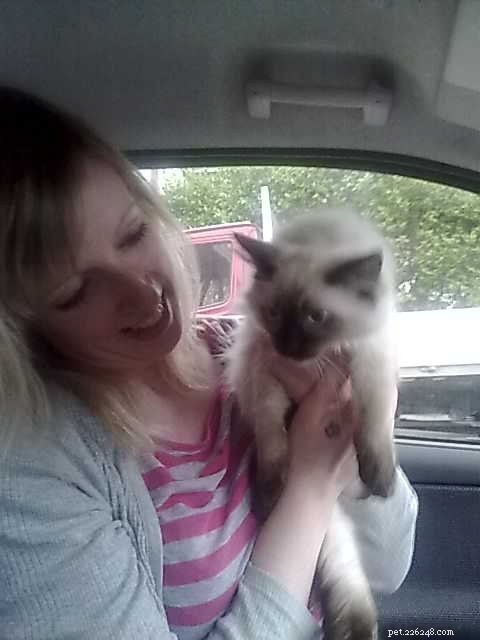 Meet Crumble: Ragdoll of the Week Spotlight