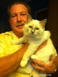 Sonny: Ragdoll Kitten of the Month – A Soft‑Toned Star from Sacramento