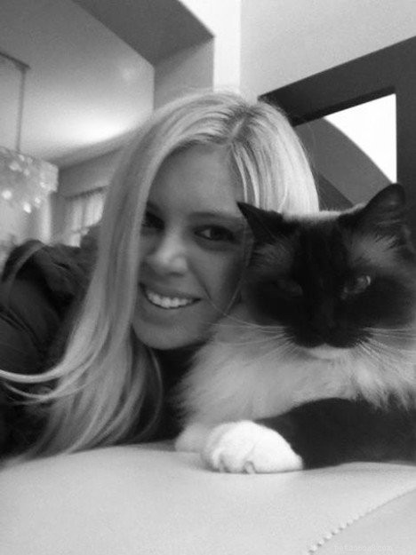Ragdoll of the Week: A San Diego Owner’s Journey with a Gentle Companion
