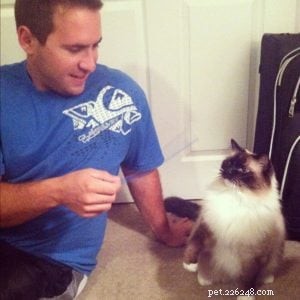 Ragdoll of the Week: A San Diego Owner’s Journey with a Gentle Companion