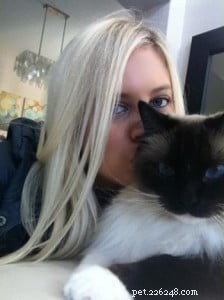 Ragdoll of the Week: A San Diego Owner’s Journey with a Gentle Companion
