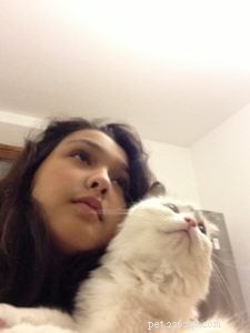Remembering Abby: Tribute to Our Beloved Ragdoll