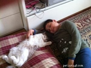 Remembering Abby: Tribute to Our Beloved Ragdoll