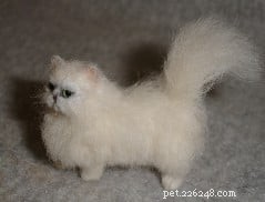 Exclusive Interview: Lucy Francis Maloney on Crafting Stunning Cat Miniatures