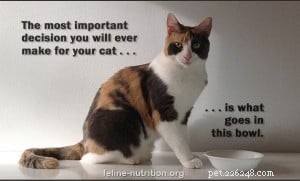 Interview with Margaret Gates: Founder of Feline Nutrition, Expert on Cat Health & Nutrition