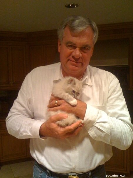 Celebrating Cat-Loving Fathers: Happy Father s Day to All Cat Dads!