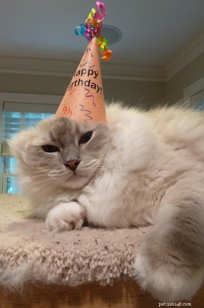 Celebrating Trigg’s 5th Birthday: A Journey of Love & Growth