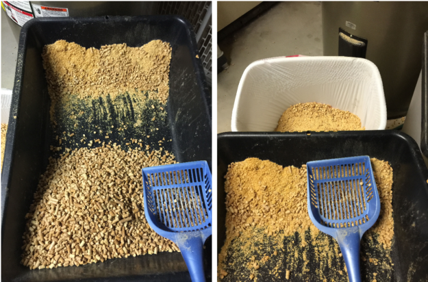 How to Use Pine Pellet Litter: Expert Guide to Arm & Hammer Feline Pine
