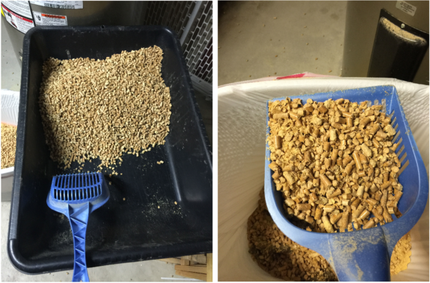 How to Use Pine Pellet Litter: Expert Guide to Arm & Hammer Feline Pine
