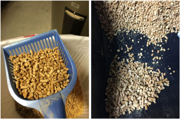 How to Use Pine Pellet Litter: Expert Guide to Arm & Hammer Feline Pine