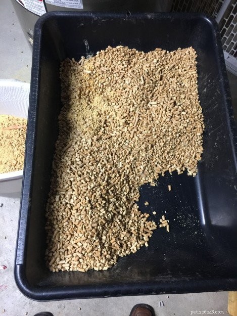 How to Use Pine Pellet Litter: Expert Guide to Arm & Hammer Feline Pine