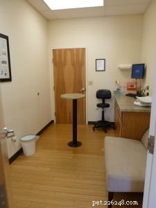 Floppycats Explores Albuquerque Cat Clinic: A Trusted All‑Cat Veterinary Practice