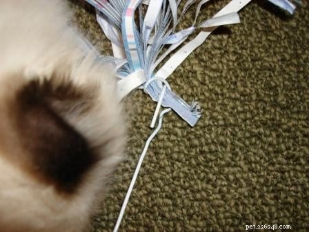 DIY Cat Toys: Create Engaging & Affordable Games for Your Feline Friend