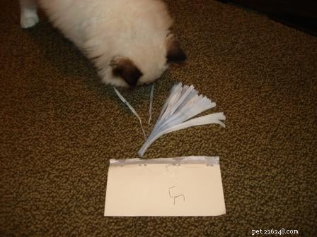 DIY Cat Toys: Create Engaging & Affordable Games for Your Feline Friend
