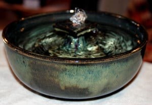 Premium Cat Water Fountains: Fresh, Oxygenated, and Irresistibly Engaging