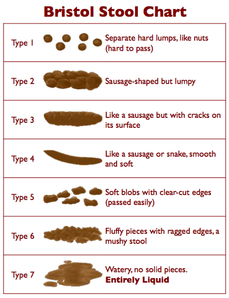Cat Constipation: Causes, Symptoms & Expert Treatment Tips from Dr. Jean Hofve