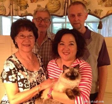 Meet Stanlee: Ragdoll of the Week – A Heartwarming Rescue Story