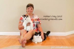 Trinity & Tyler: A Heartwarming 10-Year Adoption Story of Two Ragdoll Cats