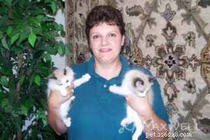 Trinity & Tyler: A Heartwarming 10-Year Adoption Story of Two Ragdoll Cats