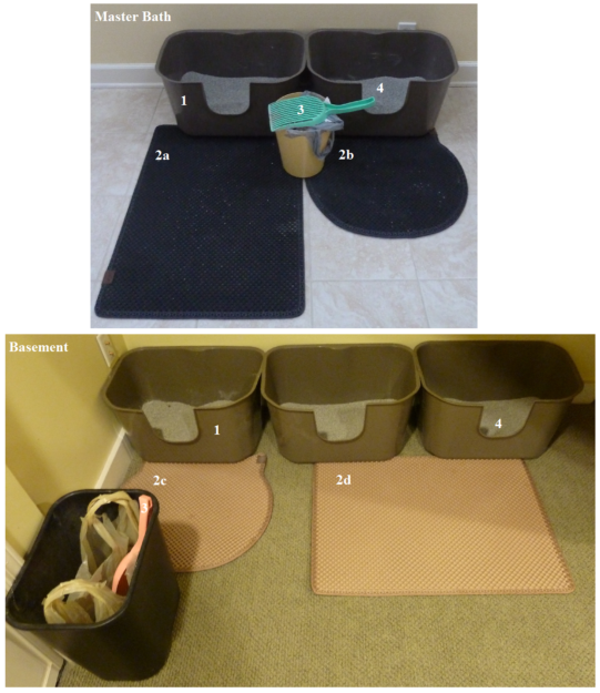 Show Us Your Cat’s Litter Box—Share Photos & Join the Community