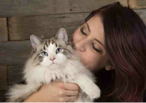 Tucker Lee: Meet the Friendly 15‑Month‑Old Ragdoll of the Week