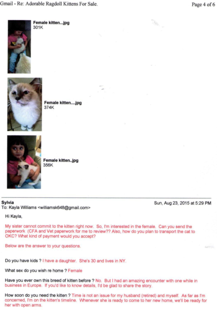 How to Spot and Avoid Ragdoll Kitten Scam Online