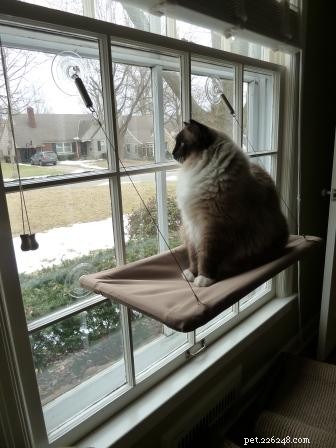 Sunny Seat Cat Window Perch: The Ultimate Window Hammock for Your Feline Friend