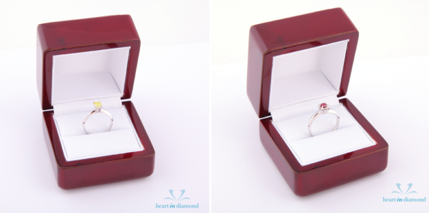 Heart in Diamond Pets: Create a Timeless Diamond Tribute from Your Pet’s Hair or Ashes