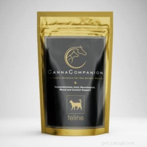 Dr. Sarah Brandon Discusses Safe Cannabis Therapy for Cats
