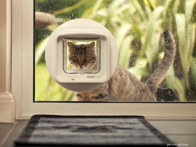SureFlap Microchip Pet Door – Secure, Smart Entry for Your Cat