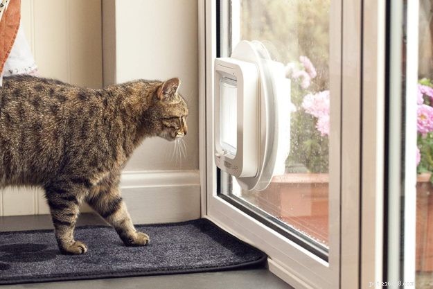 SureFlap Microchip Pet Door – Secure, Smart Entry for Your Cat