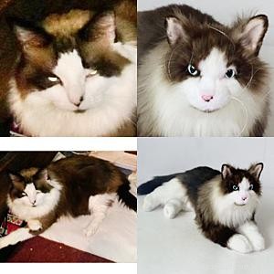 Personalized Cat Plushies: Authentic, Premium Pet Replicas
