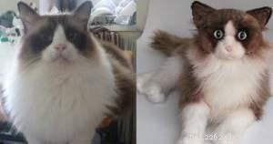 Personalized Cat Plushies: Authentic, Premium Pet Replicas