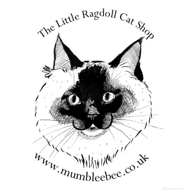 Moomin – The Ragdoll Cat of the Week: A Personal Journey