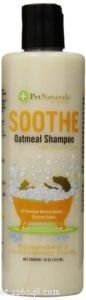 Choosing the Right Shampoo for Your Cat: A Guide to Safe and Gentle Bathing