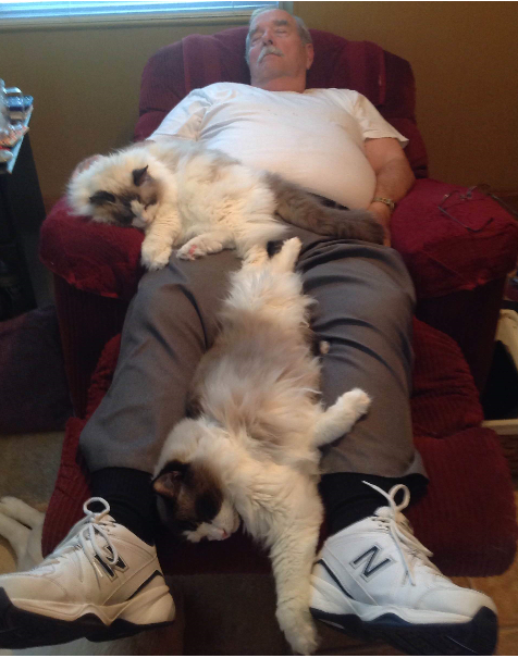 Ragdoll Cats of the Week: Pebbles & Spencer
