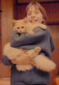 Meet Sinatra: The Charming Blue‑Eyed White Ragdoll of the Week