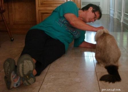 Pet Communicators: A Trusted Alternative for Diagnosing Cat Health Issues
