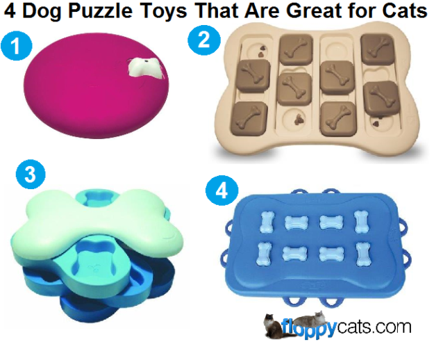 Engaging Treat‑Based Games That Keep Your Ragdoll Active and Happy