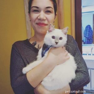 Chemo: The Ragdoll Kitten of the Month