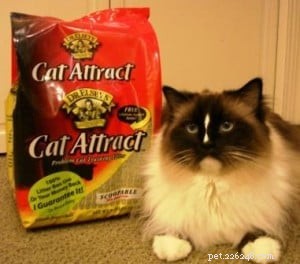Cat Attract Litter: Does It Really Work? An Honest Review