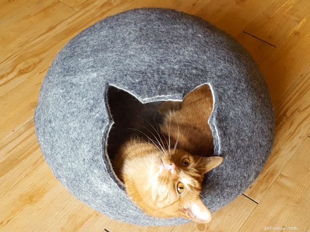 Meowfia Cat Caves: Premium Felted Wool Beds for Stylish Comfort