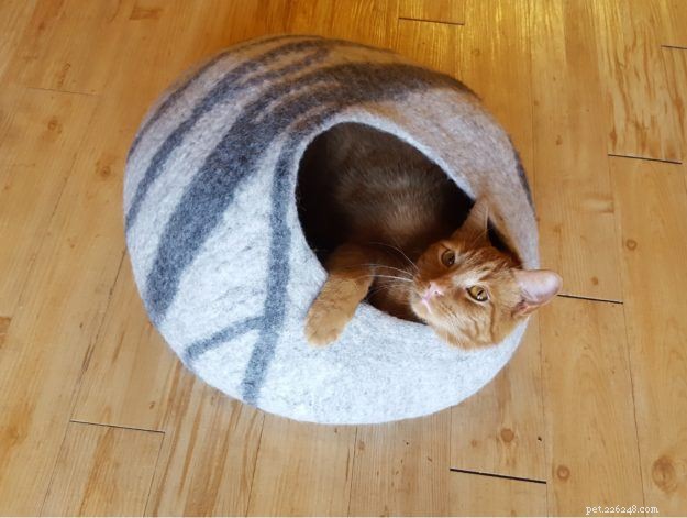 Meowfia Cat Caves: Premium Felted Wool Beds for Stylish Comfort