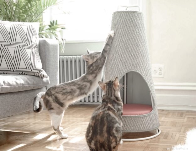 WISKI Launches The Cone: Modern Vertical Scratching Post & Bed for Cats