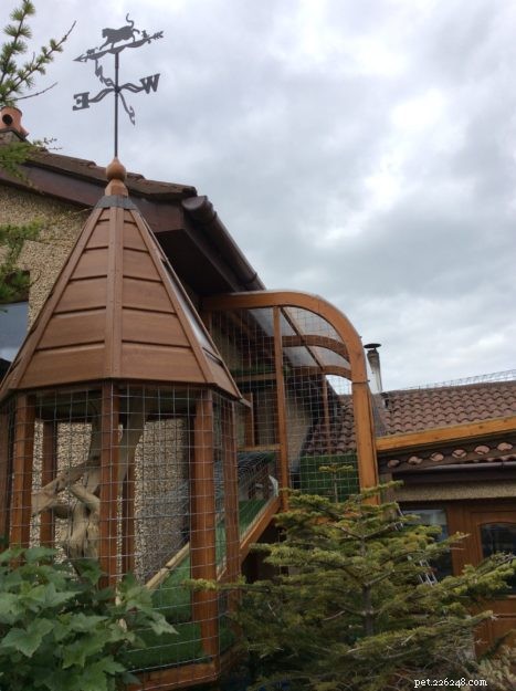 Designing a Safe Outdoor Cat Run: DIY Catwalk Tips & Success Stories