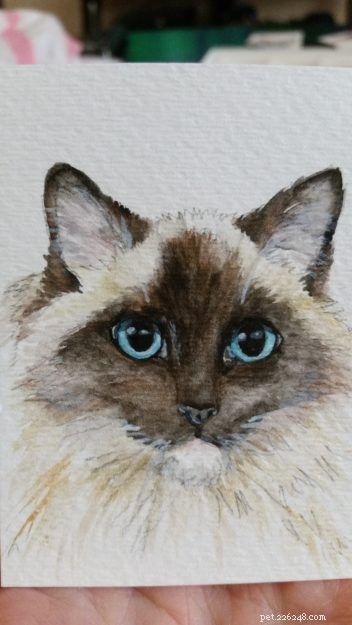 Behind the Brush: Interview with Cat Portrait Artist Halie French