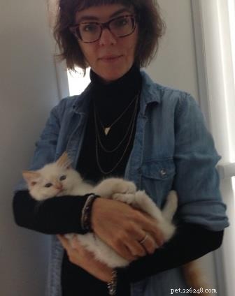 Meet Kimba: Berlin s Adorable Ragdoll Kitten of the Month