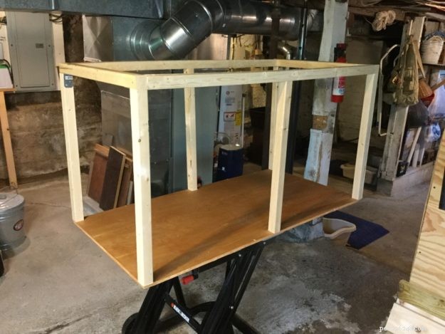 Custom Catio for Ragdoll Cats Leo & Shelby: A Stylish Outdoor Retreat